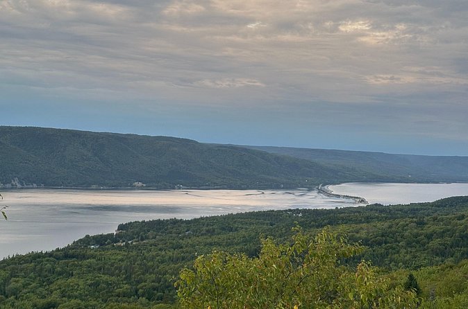 Mini Cabot Trail Tour St Anns Loop - What to Expect on the Road: Pace, Group Size, and Comfort