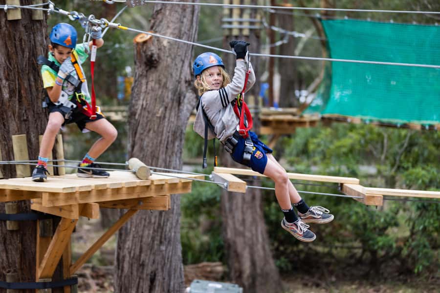 Pennant Hills: Junior Tree Ropes Course - Key points before you go