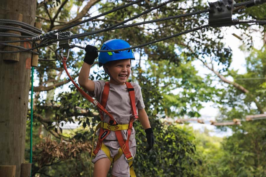 Pennant Hills: Junior Tree Ropes Course - Treetops Adventure The Hills: kid-focused aerial fun in the Dandenong Ranges