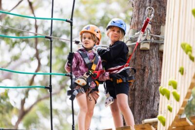 Pennant Hills: Junior Tree Ropes Course - What you’ll actually do: high ropes, swings, and ziplines