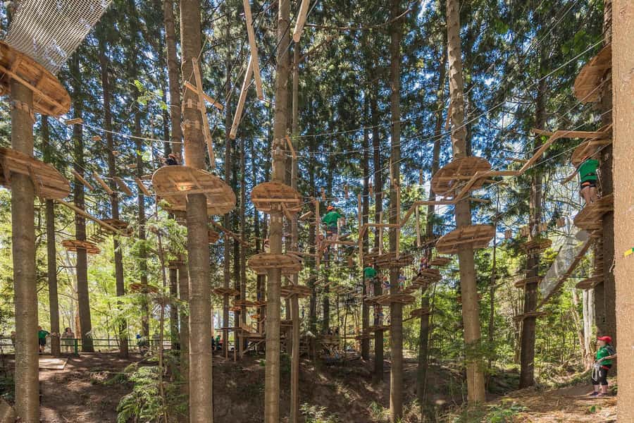 Pennant Hills: Tree Ropes Course Session - Your 150-minute flow: from check-in to final crossing