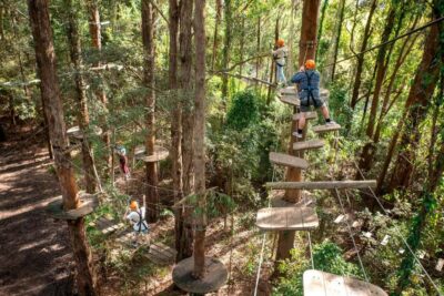 Pennant Hills: Tree Ropes Course Session - Picking the right of four rope courses for your group