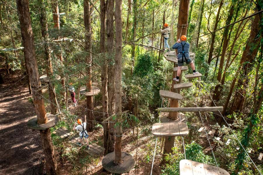 Pennant Hills: Tree Ropes Course Session - Picking the right of four rope courses for your group