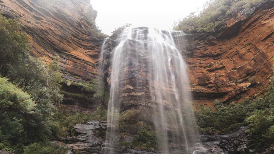 Personalised Blue Mountains Tour: Luxury Vehicles & Insights - What Makes This Blue Mountains Private Tour Feel Premium