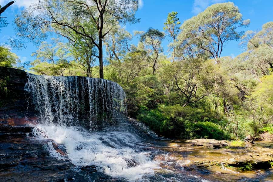Personalised Blue Mountains Tour: Luxury Vehicles & Insights - Wentworth Falls: Views, Walking Levels, and a Dip If You Want One
