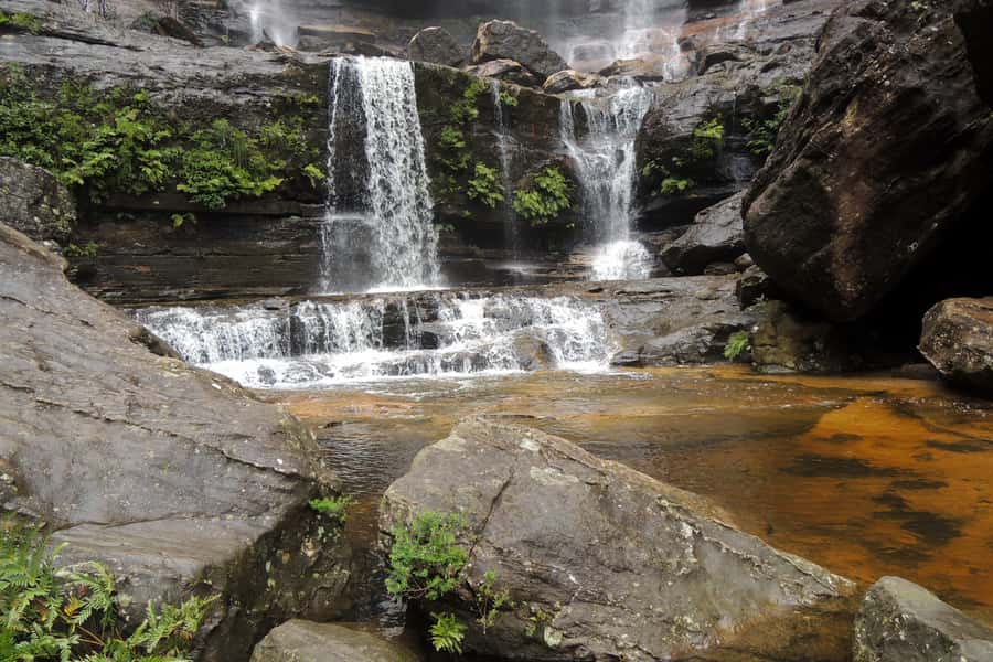 Personalised Blue Mountains Tour: Luxury Vehicles & Insights - Featherdale Wildlife Park: A Gentle Way to See Koalas