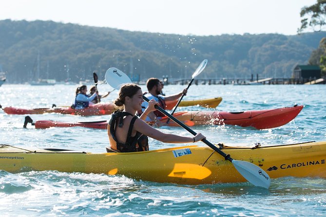 Pittwater Discovery Kayaking Tour - Why Pittwater Kayaking Feels Different Than a Big Boat Ride