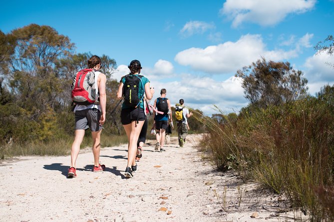 Pittwater Discovery Kayaking Tour - Price and Value: Is $89.66 a Good Deal?