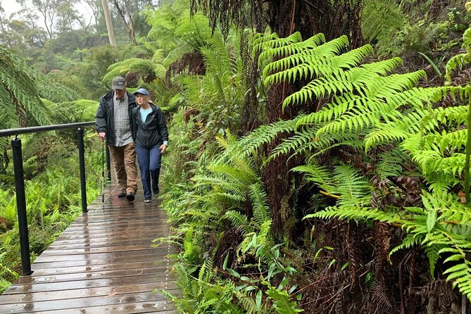 PJ Blue Mountains Supreme [Private Charter] - Scenic World (Skyway, Cableway, Walkway, Railway) Is the Main Event