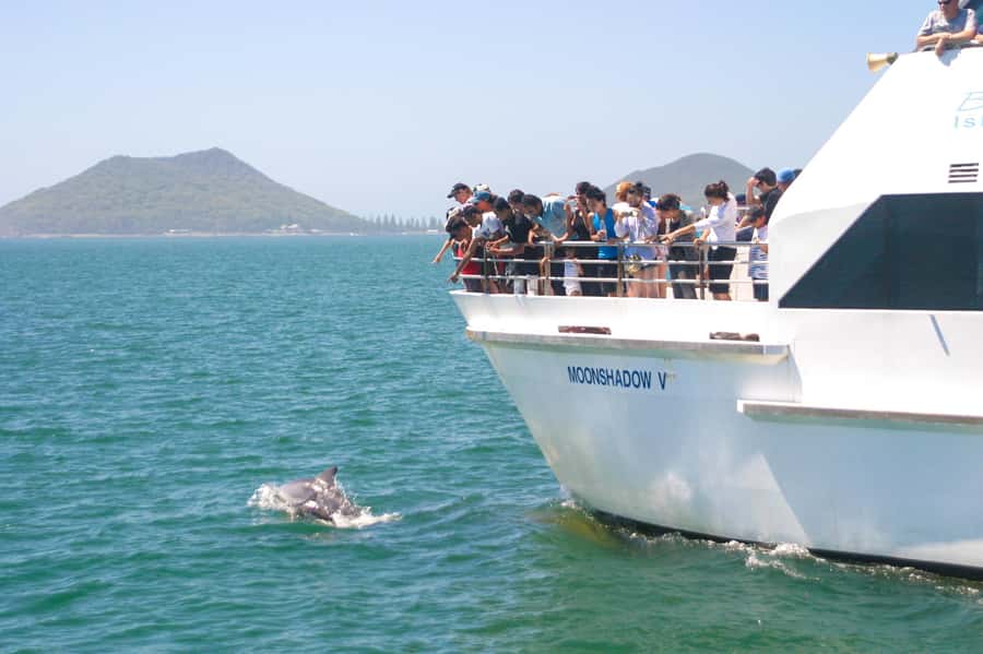 Port Stephens: Dolphin Cruise, Lunch, Koalas & Sandboarding - Lunch on the coast: simple, included, and timed well