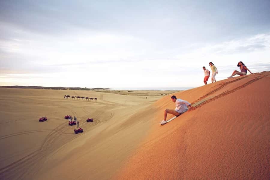 Port Stephens: Dolphin, Lunch, Koalas&Sandboarding -Mandarin - Key things to know before you book