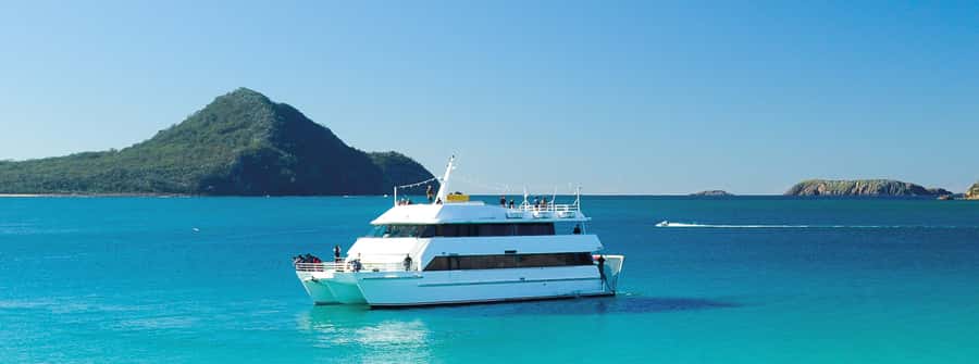Port Stephens: Dolphin, Lunch, Koalas&Sandboarding -Mandarin - Dolphin Discover cruise in Nelson Bay: what you’re really paying for