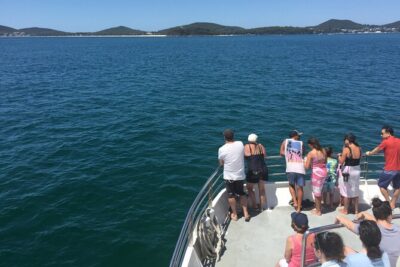 Port Stephens Private Tour From Sydney, with Dolphin/ Whale Cruise Options - Nelson Bay: the dolphin cruise option that actually needs timing