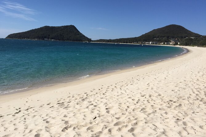 Port Stephens Private Tour From Sydney, with Dolphin/ Whale Cruise Options - Lunch with water views at Nelson Bay Bowling and Recreation Club