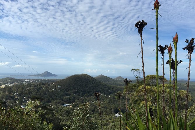 Port Stephens Private Tour From Sydney, with Dolphin/ Whale Cruise Options - Little Beach Reserve: where the photos are easy and the dip is possible