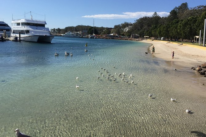 Port Stephens Private Tour From Sydney, with Dolphin/ Whale Cruise Options - The 10-hour pacing: why private helps more than you think