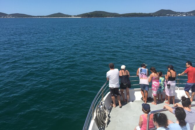 Port Stephens Private Tour From Sydney, with Dolphin/ Whale Cruise Options - Nelson Bay: the dolphin cruise option that actually needs timing