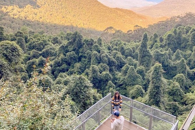 Private All Blue Mountains Day Tour - Price and value: what $573.79 per person buys you