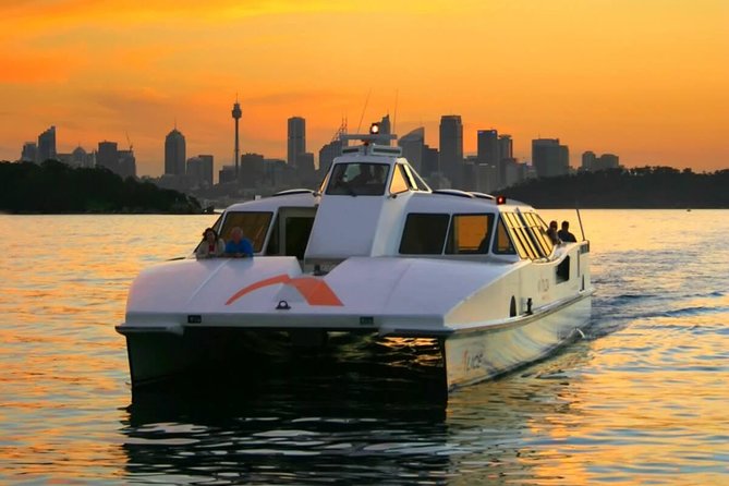 Private All Blue Mountains Day Tour - How to get the most out of your day (without wishing you did something else)