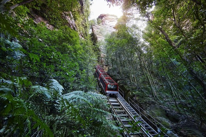 Private All Blue Mountains Day Tour - Scenic World plus Leura: a smart break from quick lookout hopping
