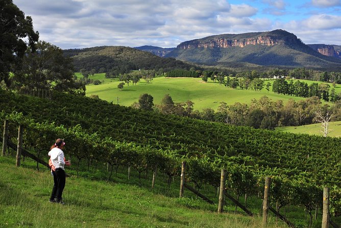 Private Blue Mountains and Winery Day-Trip from Sydney - Scenic World: the optional steep-rail ride (and what it’s good for)