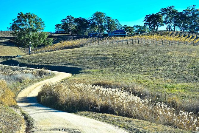 Private Blue Mountains and Winery Day-Trip from Sydney - Wentworth Falls lookout, the best viewpoints, and the Three Sisters