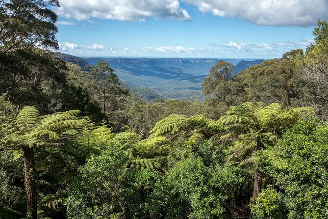 Private Blue Mountains Day Tour (avoid the crowds) - Scenic World rides: steep railway, coal-mining CableWay, and the SkyWay