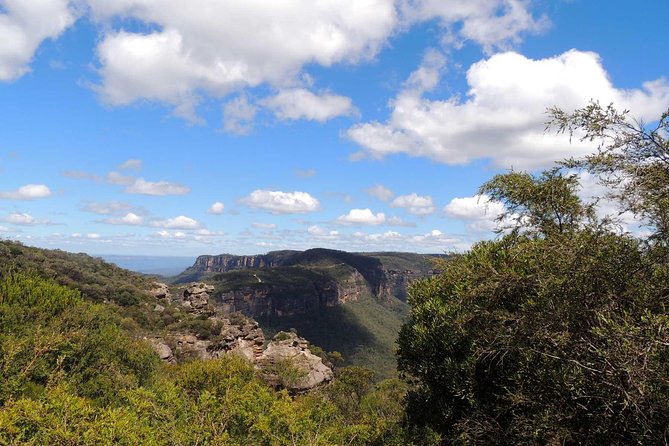 Private Blue Mountains Insider Tour from Sydney - Featherdale Wildlife Park: Kangaroos, Koalas, and Other Aussie Stars