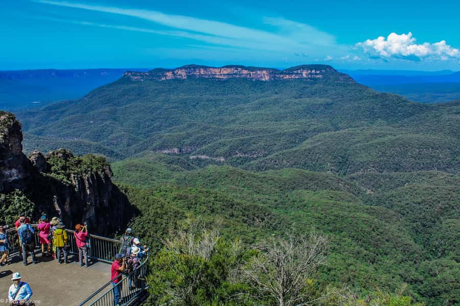 Private Blue Mountains, Scenic World & Wentworth Falls Tour - Price and value: what $884 per group buys you