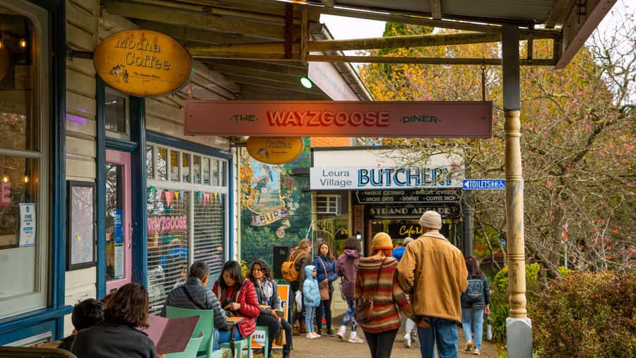 Private Blue Mountains, Scenic World & Wentworth Falls Tour - Blue Mountains viewpoints and walks: the best kind of guided time (about 3 hours)