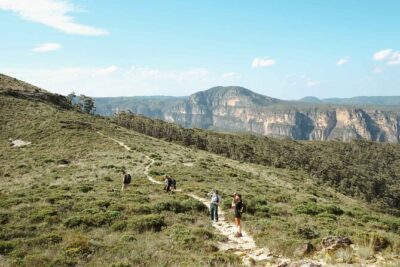 Private Blue Mountains Tour | Waterfalls, Koalas & Views - Lincoln’s Rock and Wentworth Falls: the best scenery that fits a short day