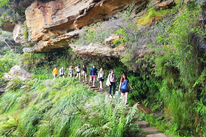 PRIVATE Blue Mountains Tour, Wildlife Park and River Cruise - Katoomba and Leura breaks: towns with time to breathe