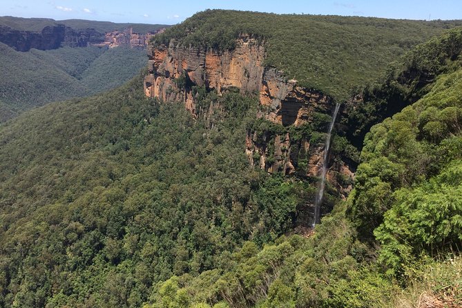 PRIVATE Blue Mountains Tour with Expert Guide - Private Blue Mountains Day Trips: what you gain vs joining a bus