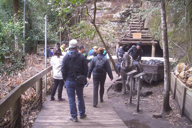 PRIVATE Blue Mountains Tour with Expert Guide - Scenic World time: plan money and decide how brave you want to be