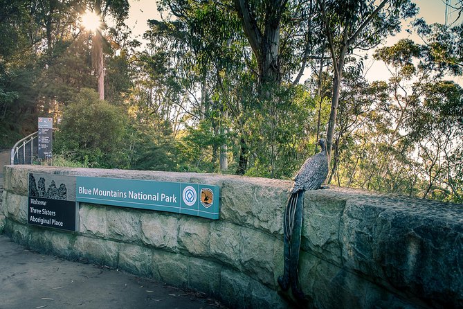 PRIVATE Blue Mountains Wilderness & Wildlife Late Start Tour - Calmsley Hill City Farm: Koalas and Kangaroos Up Close