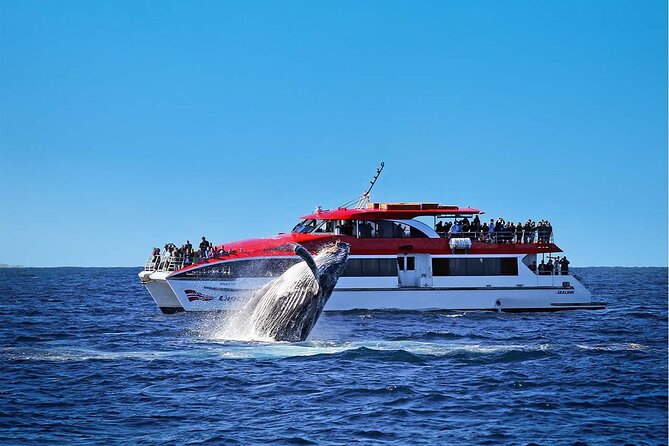 Private Catamaran Hire on Sydney Harbour - Stop 1: cruising under the Harbour Bridge for big-photo energy