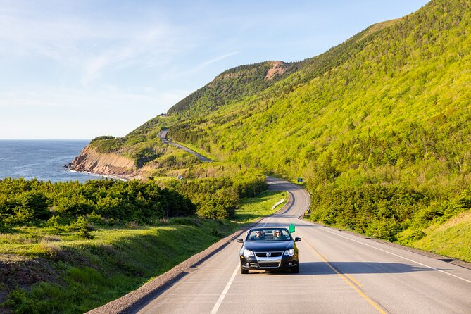 Private Cruise Excursion in Cape Breton - Guides Who Add Personality: Gary, Bo, Tom McDonald, Kevin, Adrian