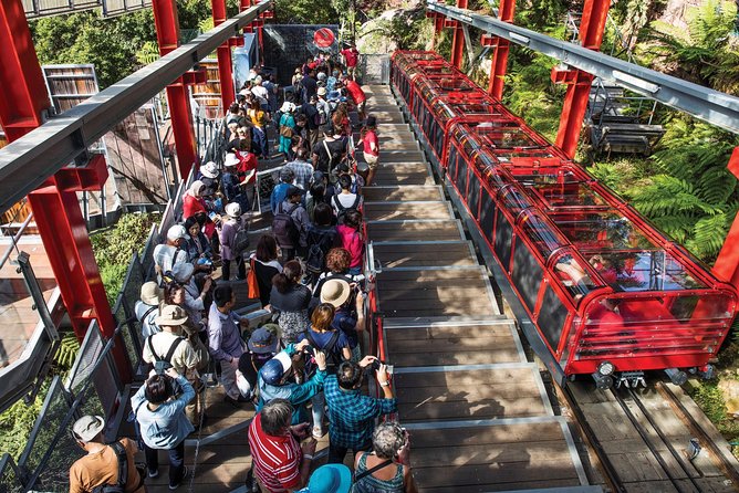 Private Guided Tour: Blue Mountains Tour from Sydney - Cahill’s Lookout and Optional Wentworth Falls Walk Time