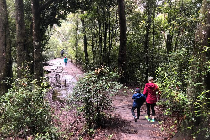Private Guided Tour from Sydney to Blue Mountains National Park - Price Reality: When $1,542.07 Per Group Makes Sense