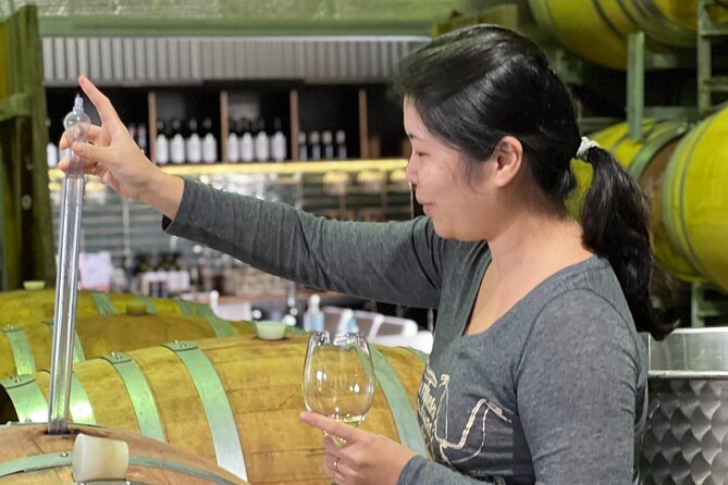 Private Hunter Valley Luxury Tour From Sydney - Binnorie Dairy Lovedale: The 30-Minute Cheese Stop That Changes the Mood