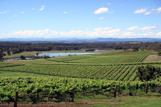 Private Hunter Valley Wine-Tasting Day Tour from Sydney - Key things I’d zero in on