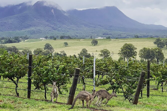 Private Hunter Valley Wine Tasting Tour from Sydney - Road Time and Timing: How the Day Stays Comfortable