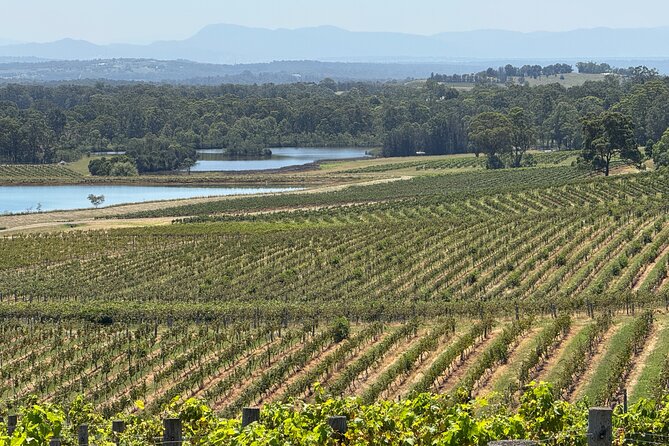 Private Hunter Valley Wine Tasting Tour from Sydney - Lunch Choice That Actually Fits Your Food Tastes