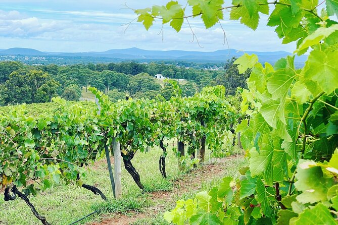 Private Hunter Valley Wine Tasting Tour from Sydney - Wollombi Optional Stop: Coffee, History, and the “Third Place” Feeling
