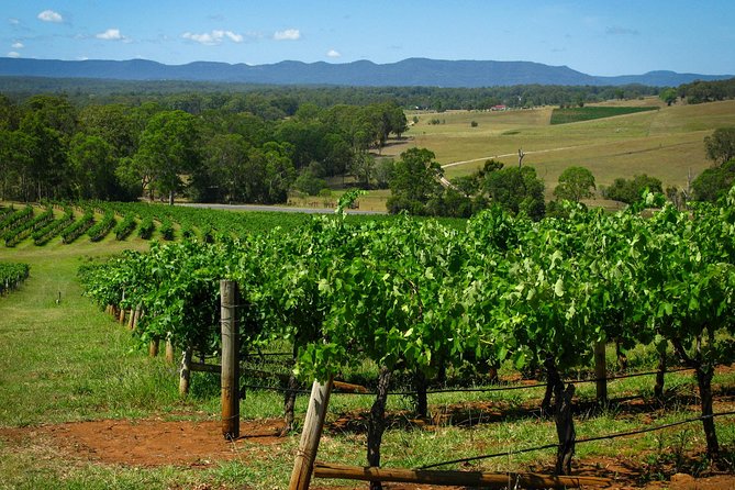 Private Luxury Tour: Tastes of the Hunter Valley - Pokolbin’s Two Boutique Wineries: More Than Just a Tasting Room Stop