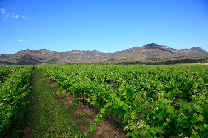 Private Luxury Tour: Tastes of the Hunter Valley - Guide Energy Makes or Breaks the Day