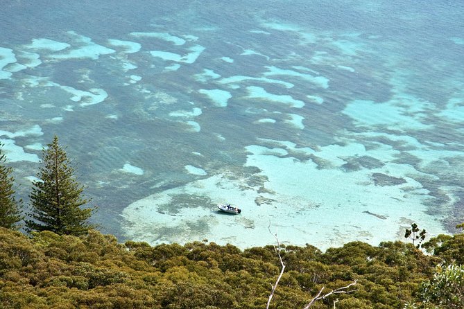 Private Port Stephens Day Trip from Sydney incl Dolphin Cruise - Stockton Sand Dunes: Sandboarding Time, With Extra Costs to Expect