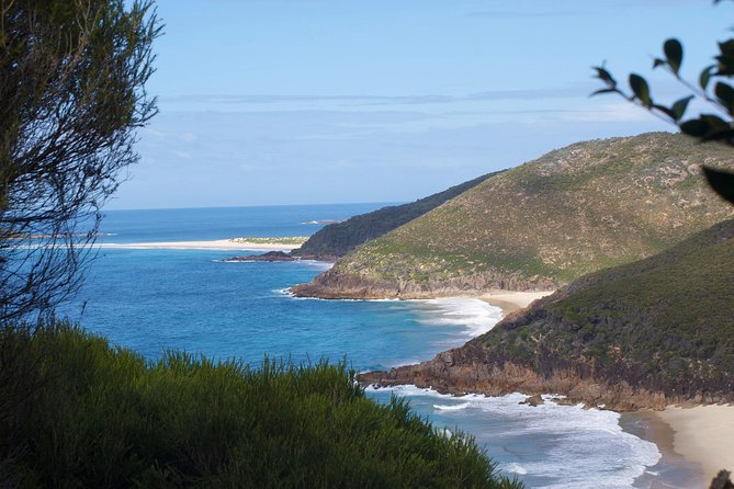 Private Port Stephens Day Trip from Sydney incl Dolphin Cruise - Nelson Bay Dolphin Cruise: How to Get the Most From the Catamaran
