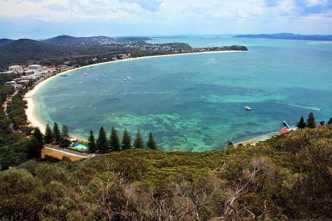 Private Port Stephens Day Trip from Sydney incl Dolphin Cruise - Private Tour Value: What You’re Really Paying For at $559.45 per Person