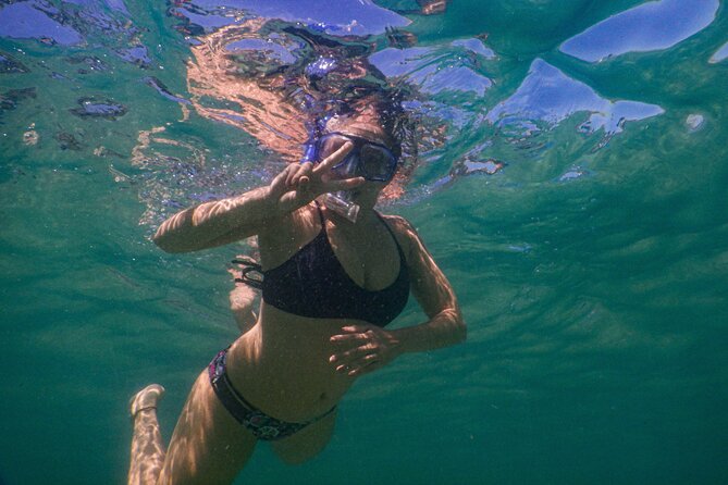 Private Snorkeling Tour In Sydney's Marine Reserve - Why Sydney’s Bronte-Coogee Aquatic Reserve Beats the Usual Beach Day